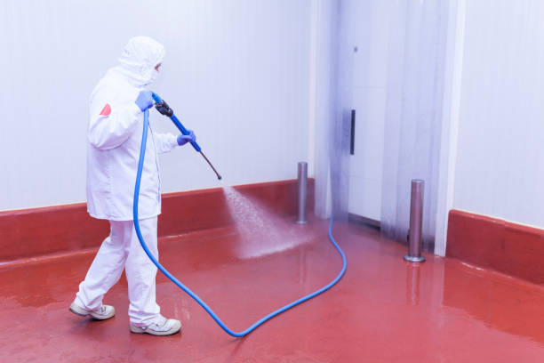 Best Winterizing Services  in Webster Groves, MO