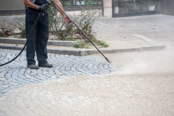 Best Dumpster Area Cleaning  in Webster Groves, MO